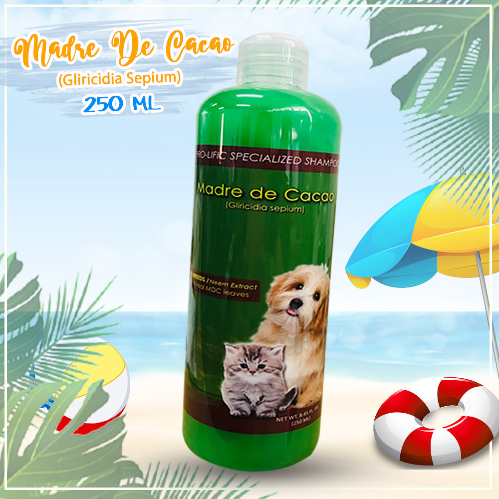 anti galis shampoo for dogs