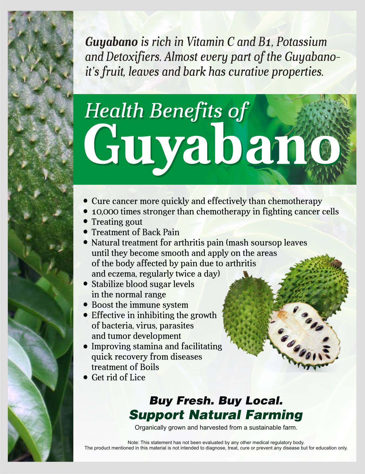 Authentic Vita Plus Guyabano Duo Lazada Ph