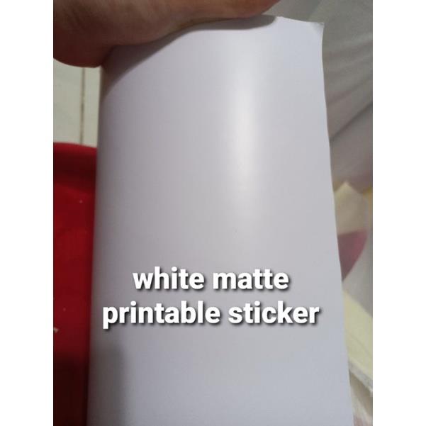 Sofie Printable Vinyl Sticker Roll For Ecosolvent 12.3 x 164ft (Ecosolvent) | Lazada PH