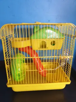 cheap pet accessories online