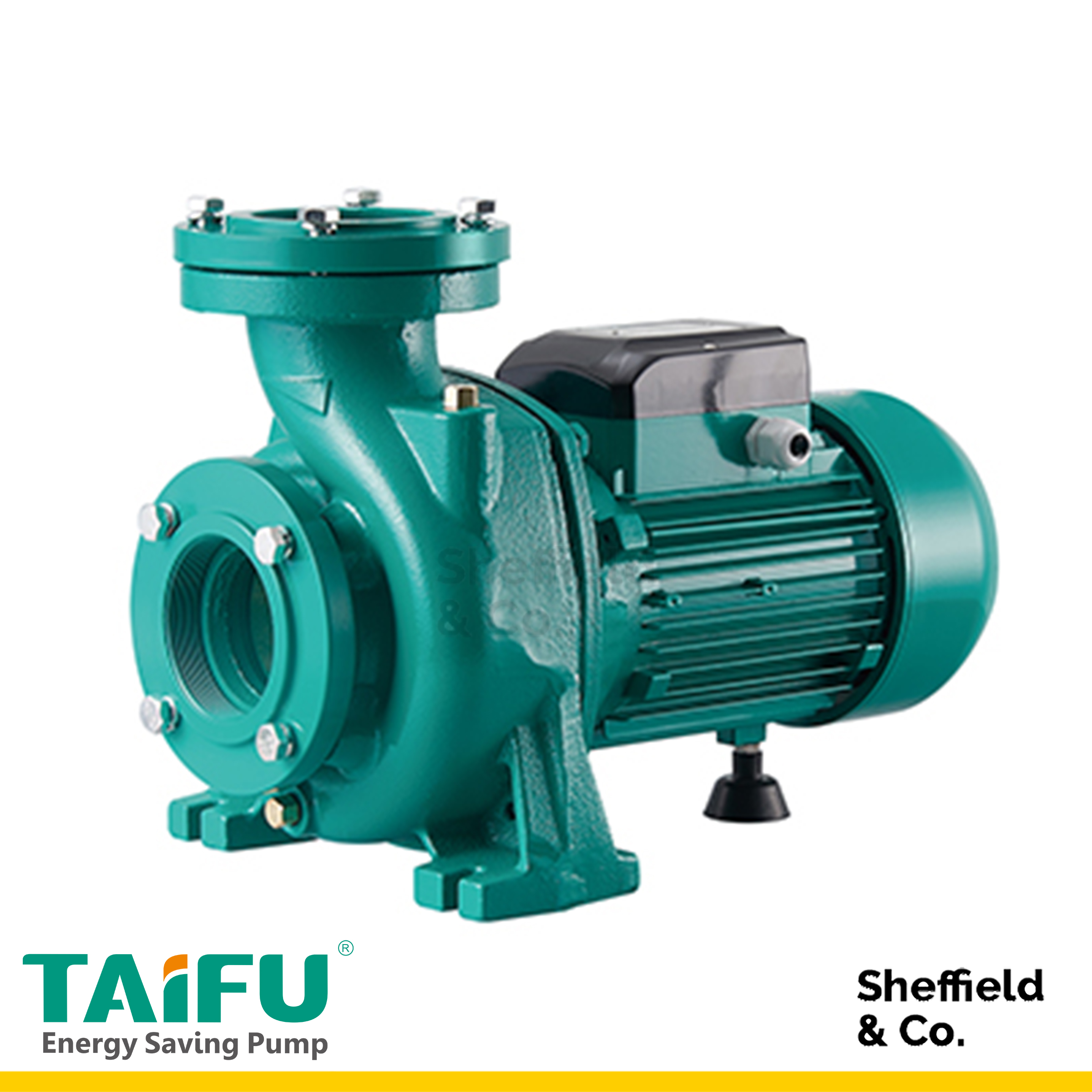 TAIFU Centrifugal Pump, 2" (7.5 HP), Three Phase [THF200] Lazada PH