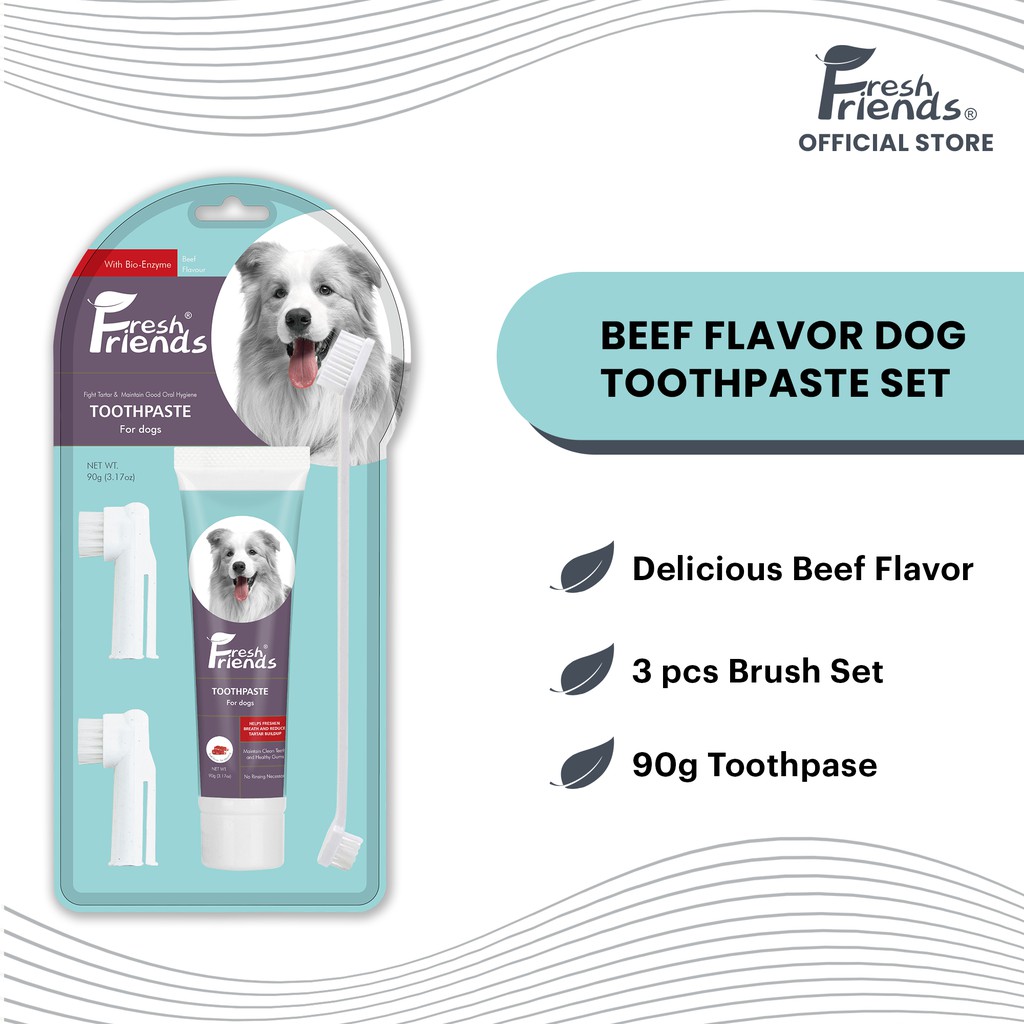 Fresh Friends Beef Flavor Toothpaste and Toothbrush for Dogs Set 90g