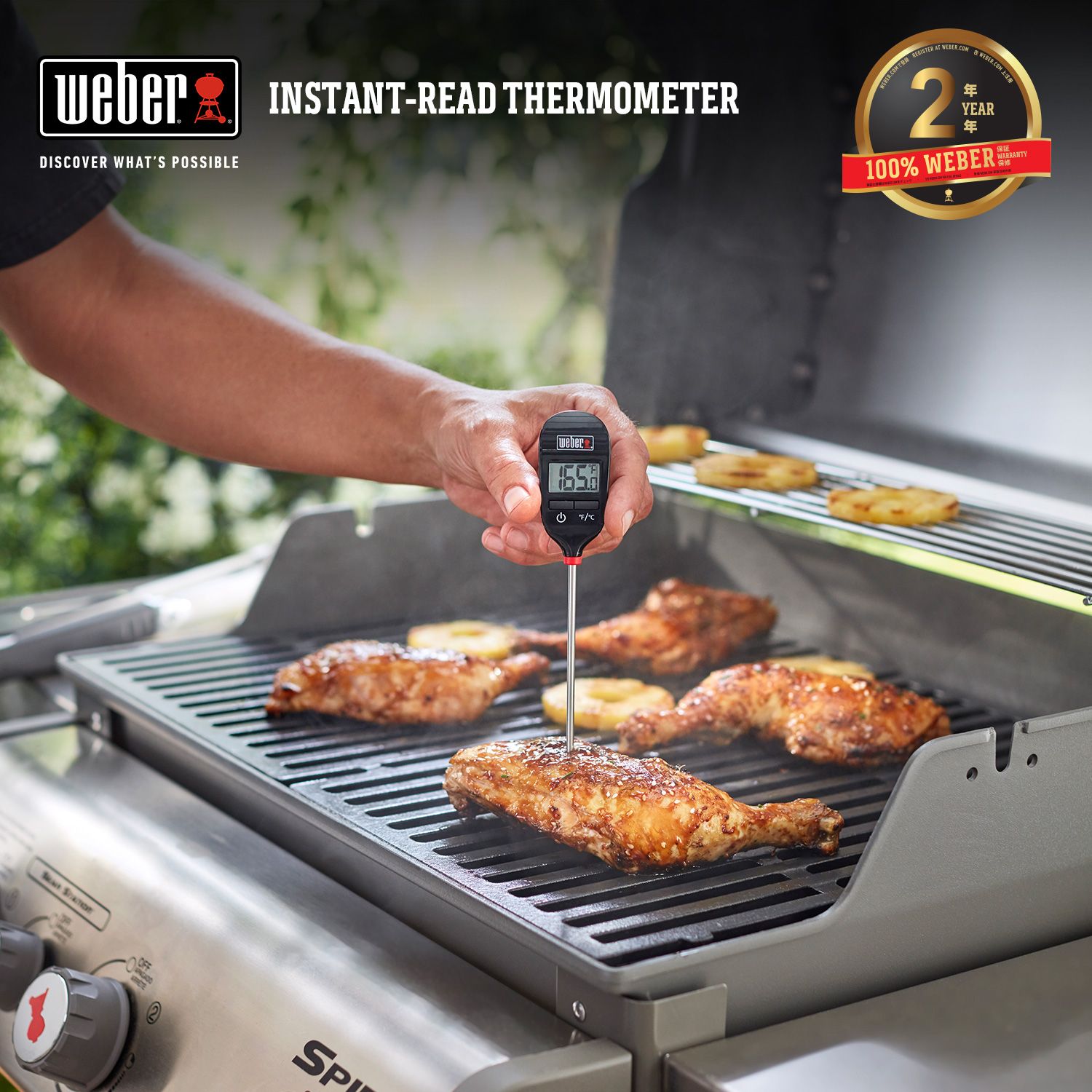 Grill Your Food To Perfection With er's New Instant Read, 41 OFF