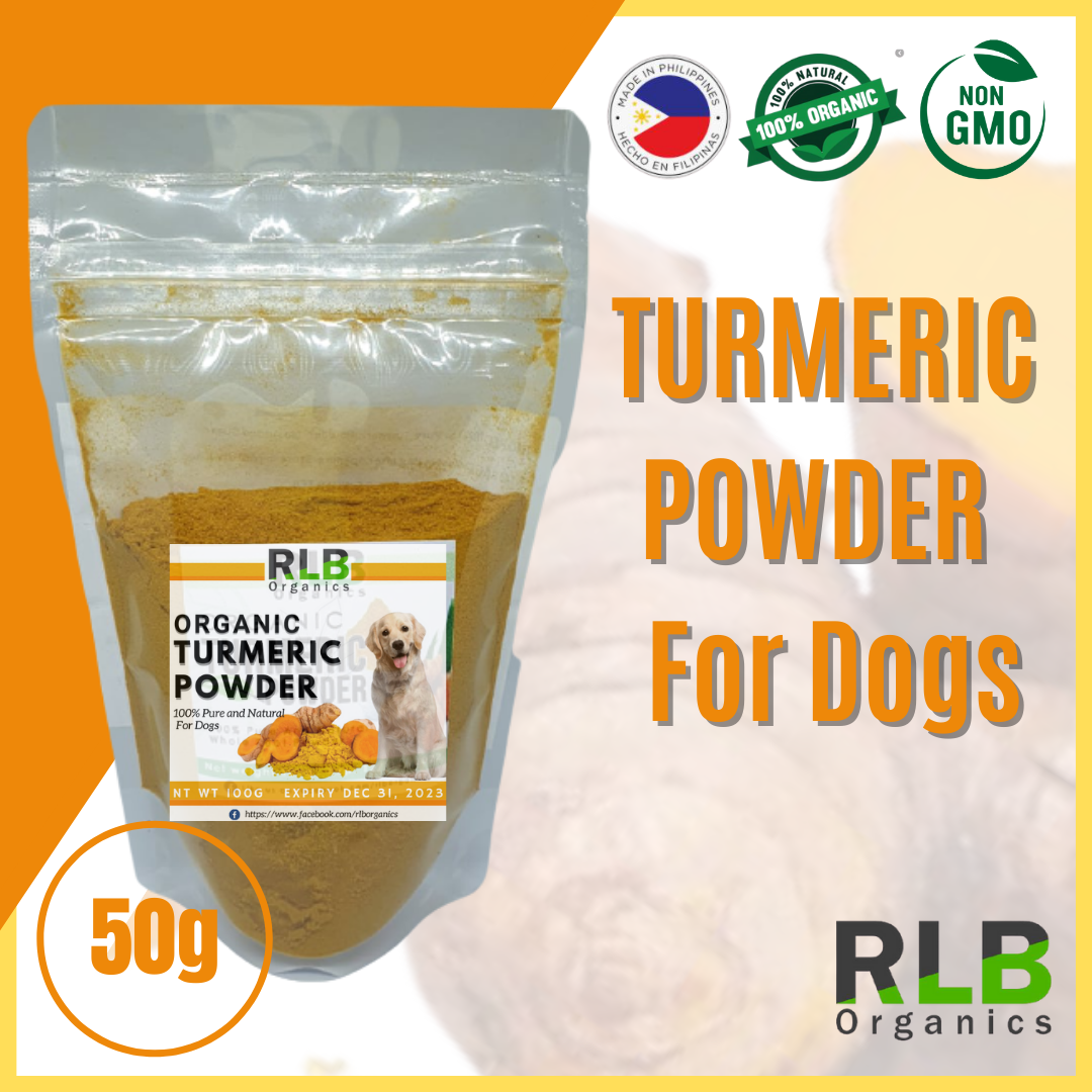 Turmeric Powder for Dogs Luyang Dilaw Powder for Dogs Organic Pure