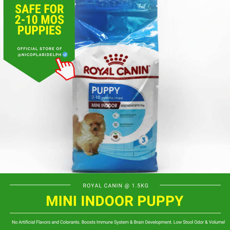 Royal Canin Mini Indoor Puppy to Boost Immune System and Support Brain