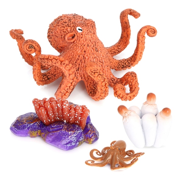 Octopus Growth Cycle,Animal Growth Cycle Biological Model for Kids Education Insect Themed Party Favors
