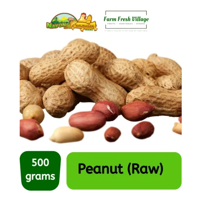 FARM FRESH VILLAGE Peanut (Raw) per 500 grams