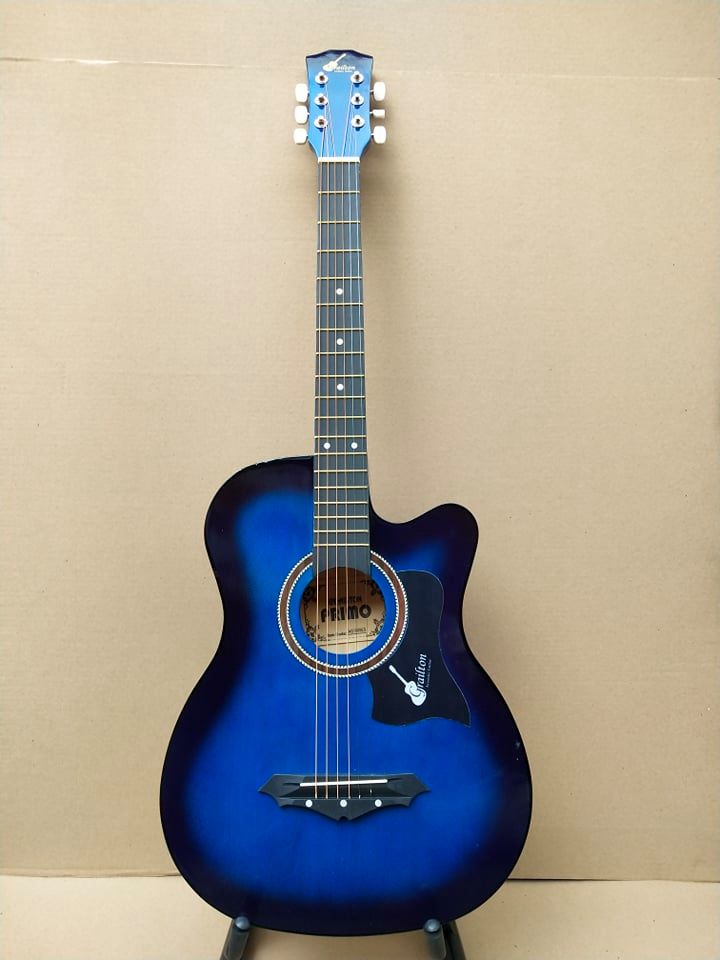 grailton acoustic guitar price