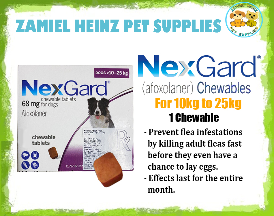 NexGard Afoxolaner for Dogs (VIOLET - 10kg to 25kg) | 1pc Chewable ...