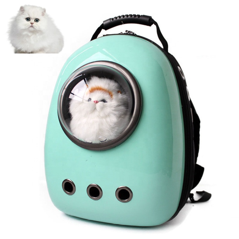 Portable Travel Pet Carrier Bubble 