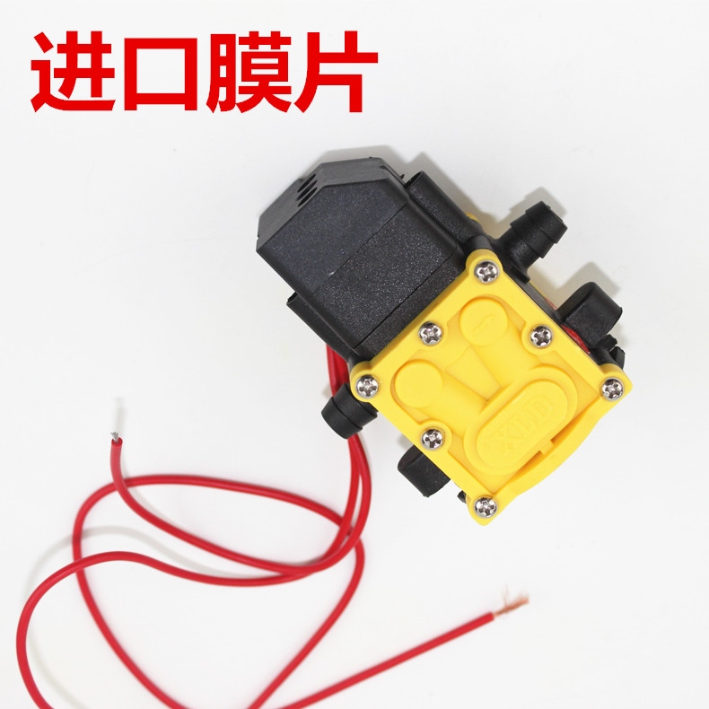 Imported diaphragm 2203 agricultural electric sprayer pump motor parts 12 v high pressure water
