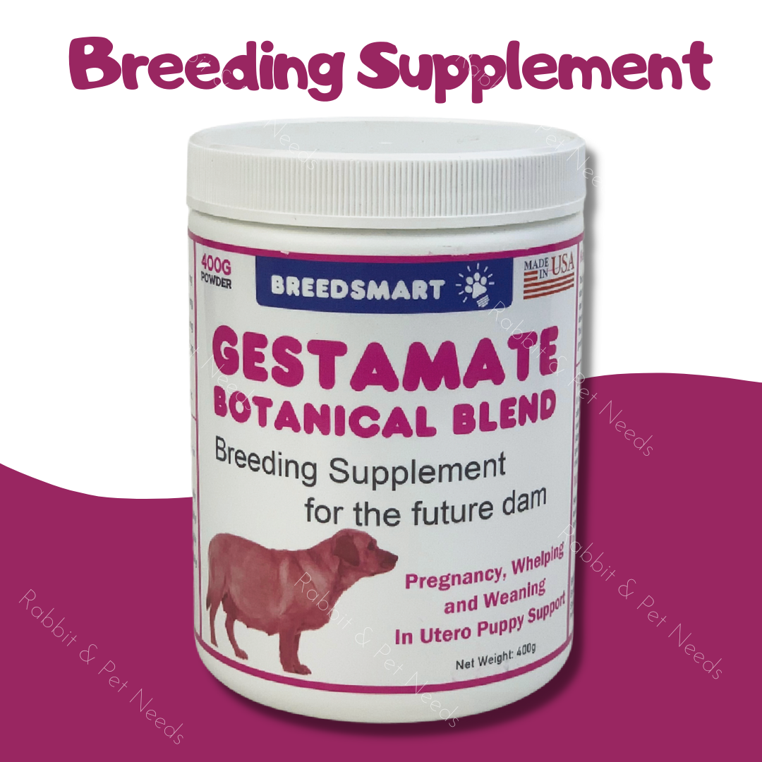 Dog Breeding Supplement Gestabreed by BreedSmart Cat Gestation