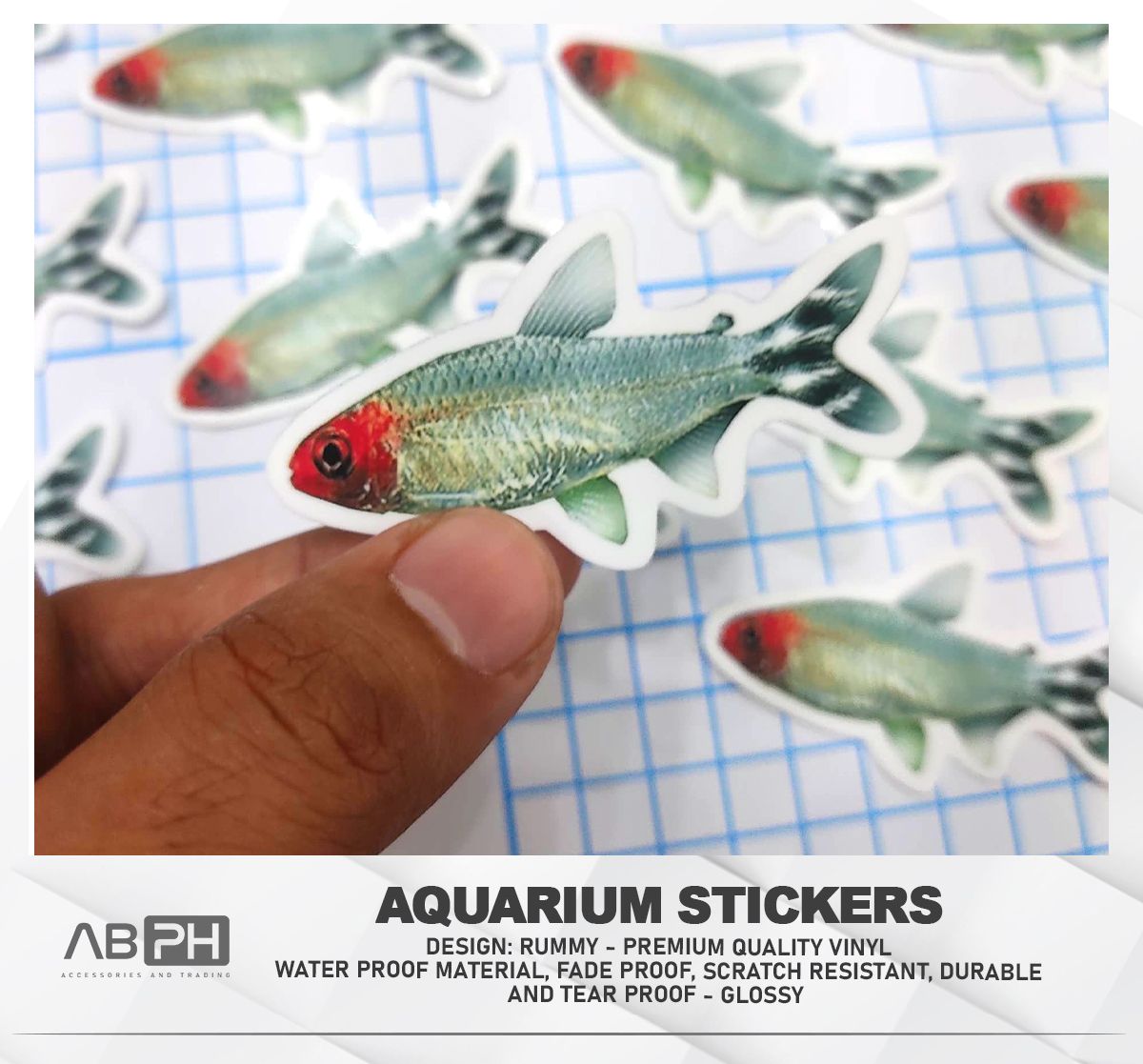 Aquascaping Sticker - Rummy Nose Tetra (Limited Edition) | Lazada PH