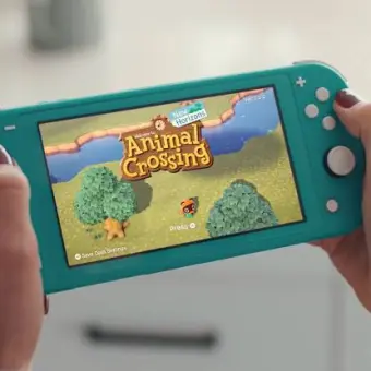 animal crossing switch lazada