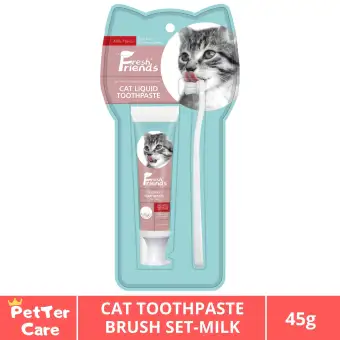 cat and toothbrush