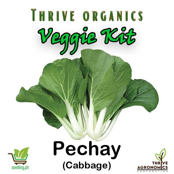 Pechay Tagalog Green Leafy Veggie Kit Grow Kit Seedling Kit Starter Kit ...