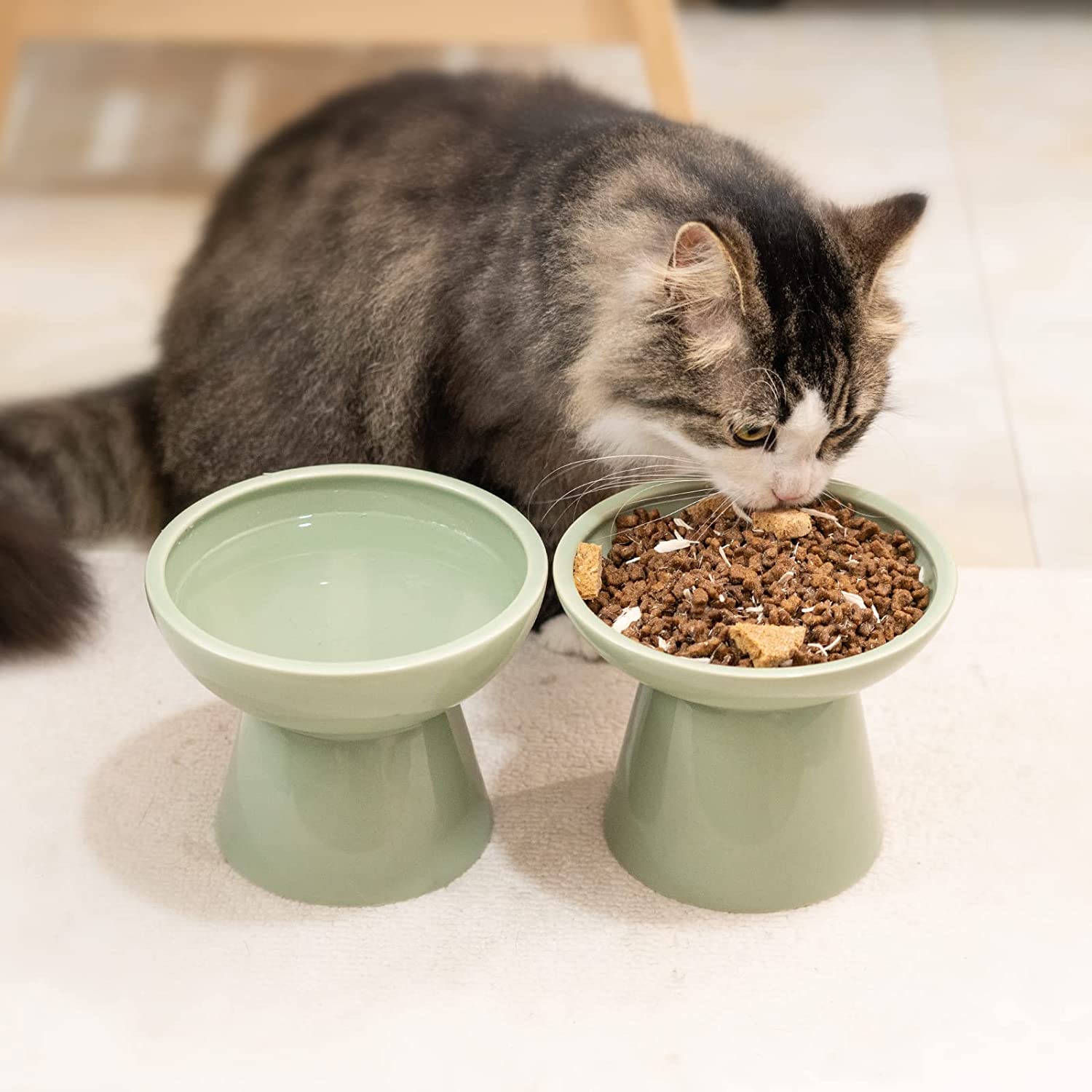 2 Extra Wide Raised Cat Bowls, Elevated Cat Bowls Anti-Vomiting Cat Feeder  Whisker Stress-Fre Dog Two Bowls Ceramic Cat Feeding Bowls White