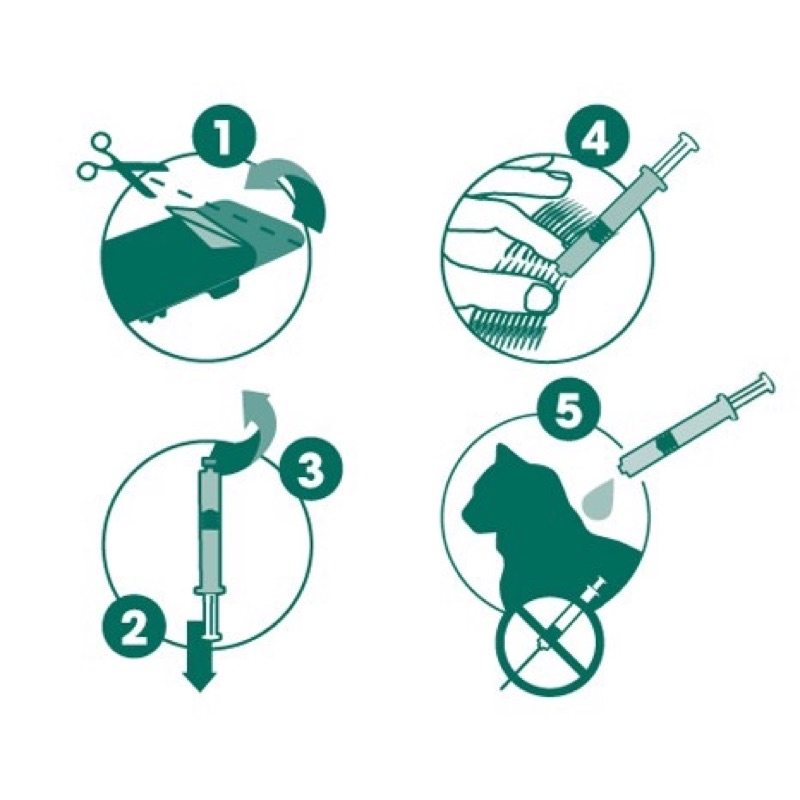 Broadline Flea Tick and Worm Treatment Spoton for Cats Lazada PH