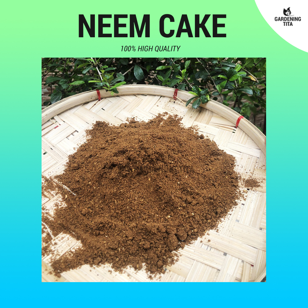 Neem Oil and Neem Cake Production Business. - YouTube