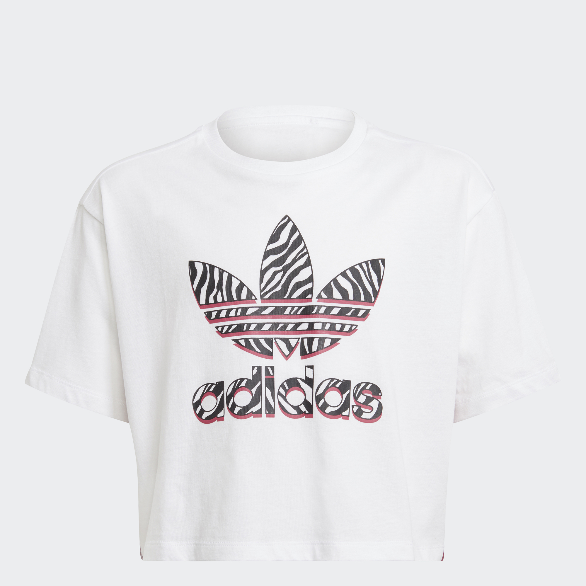 minder peyzaj dizi leginy adidas s kapsou na tenisový míček hesabı kapatmak  acı çekmek evrim