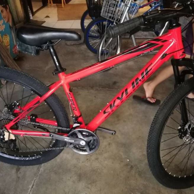 skyline mtb 27.5 price