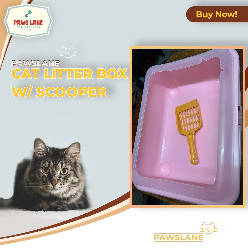 cat litter box online