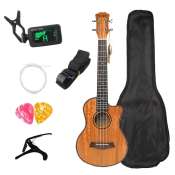 Mahogany Concert Ukulele Kit for Beginners - 