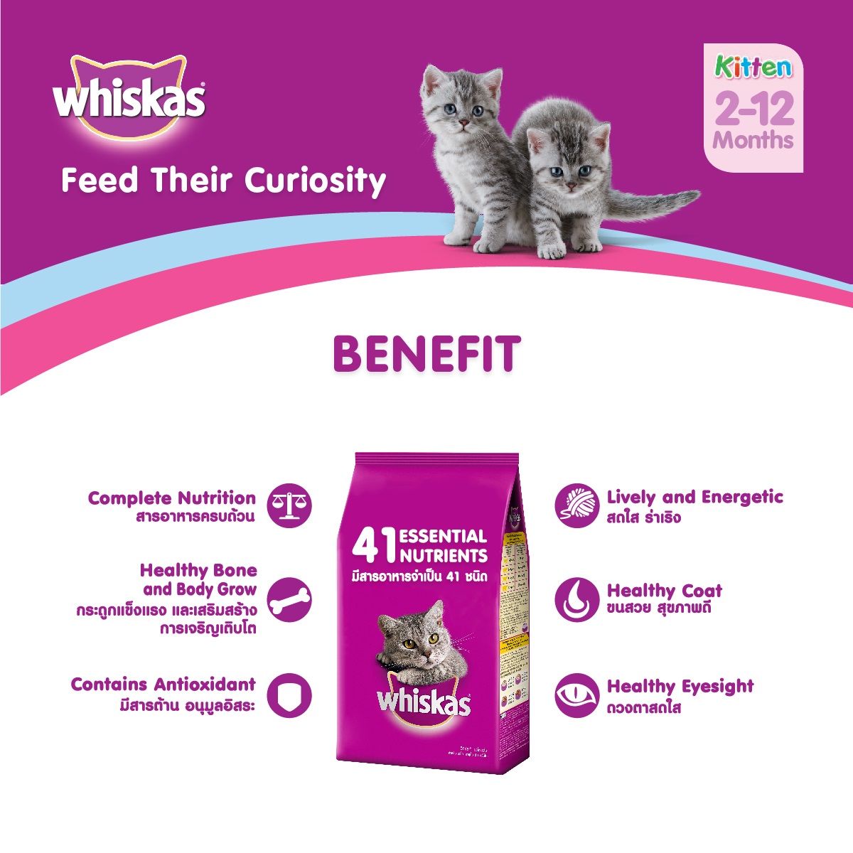 Whiskas Junior Ocean Fish with Milk Dry Pockets Cat Food for Kittens