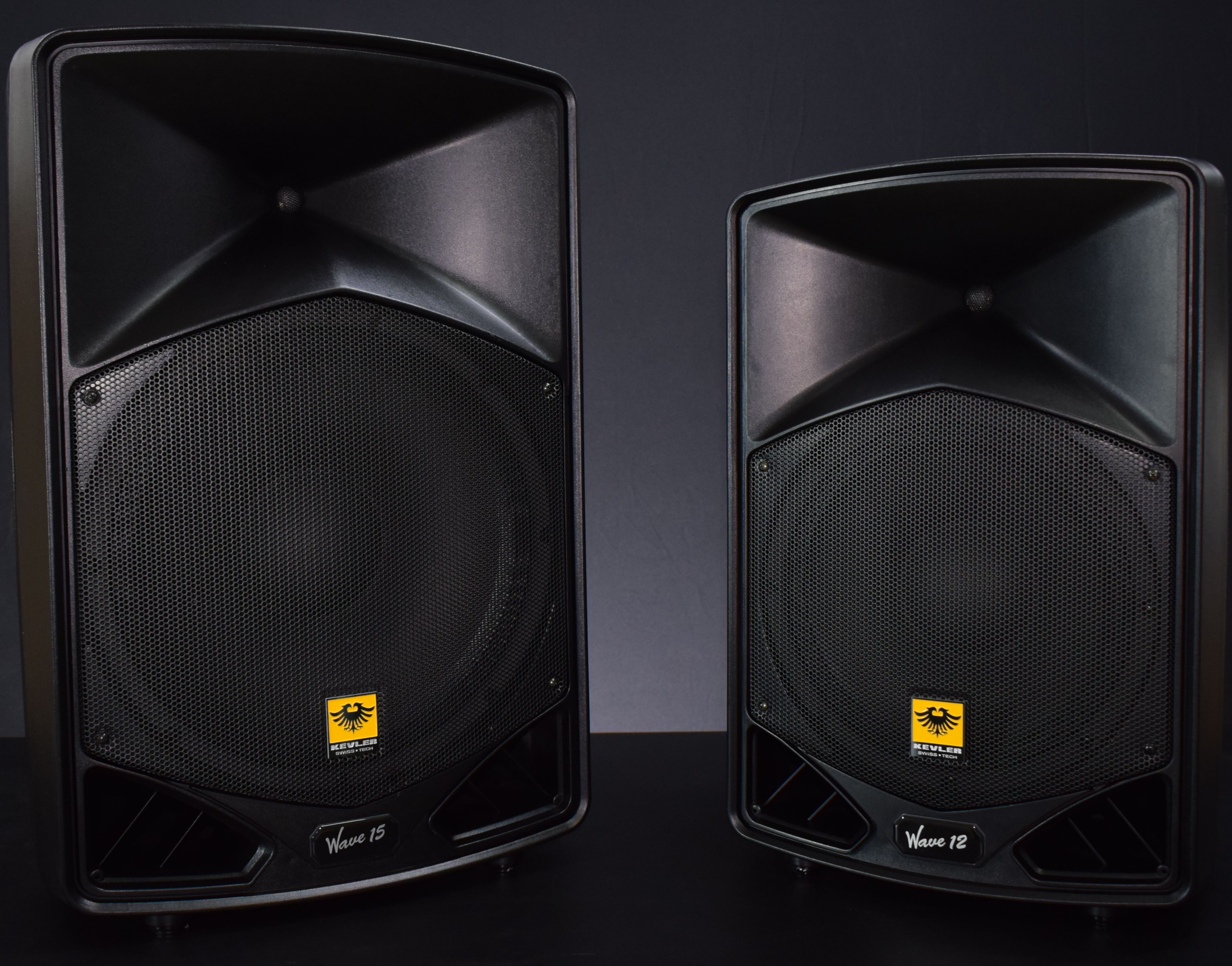 Kevler Wave 15 15” 2Way 800w Full Range Passive Speaker System
