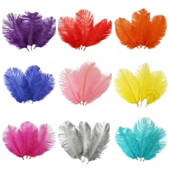 ostrich plumes wholesale