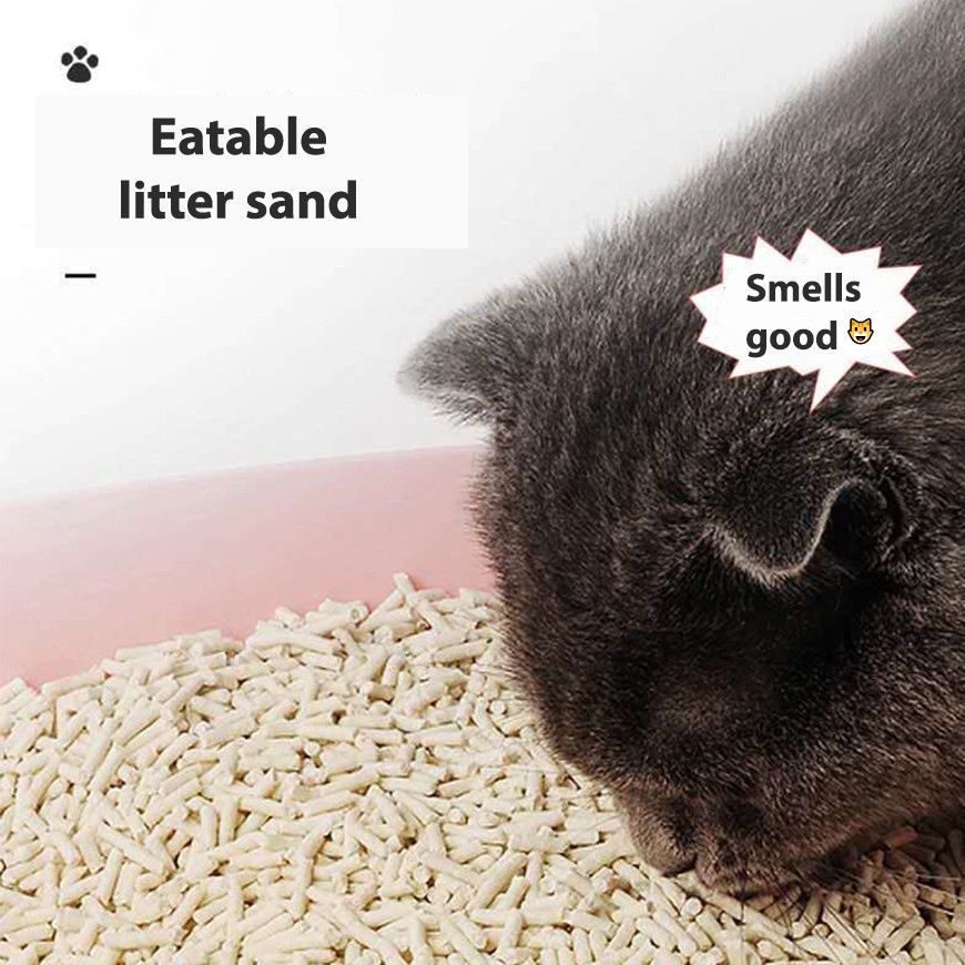 COD Tofu Cat Litter Milk Smells Quickly Absorb Cat Odors Cat Toilet Can