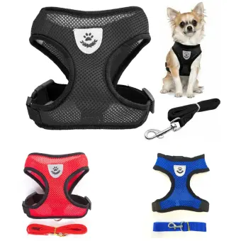 dog equipment for sale