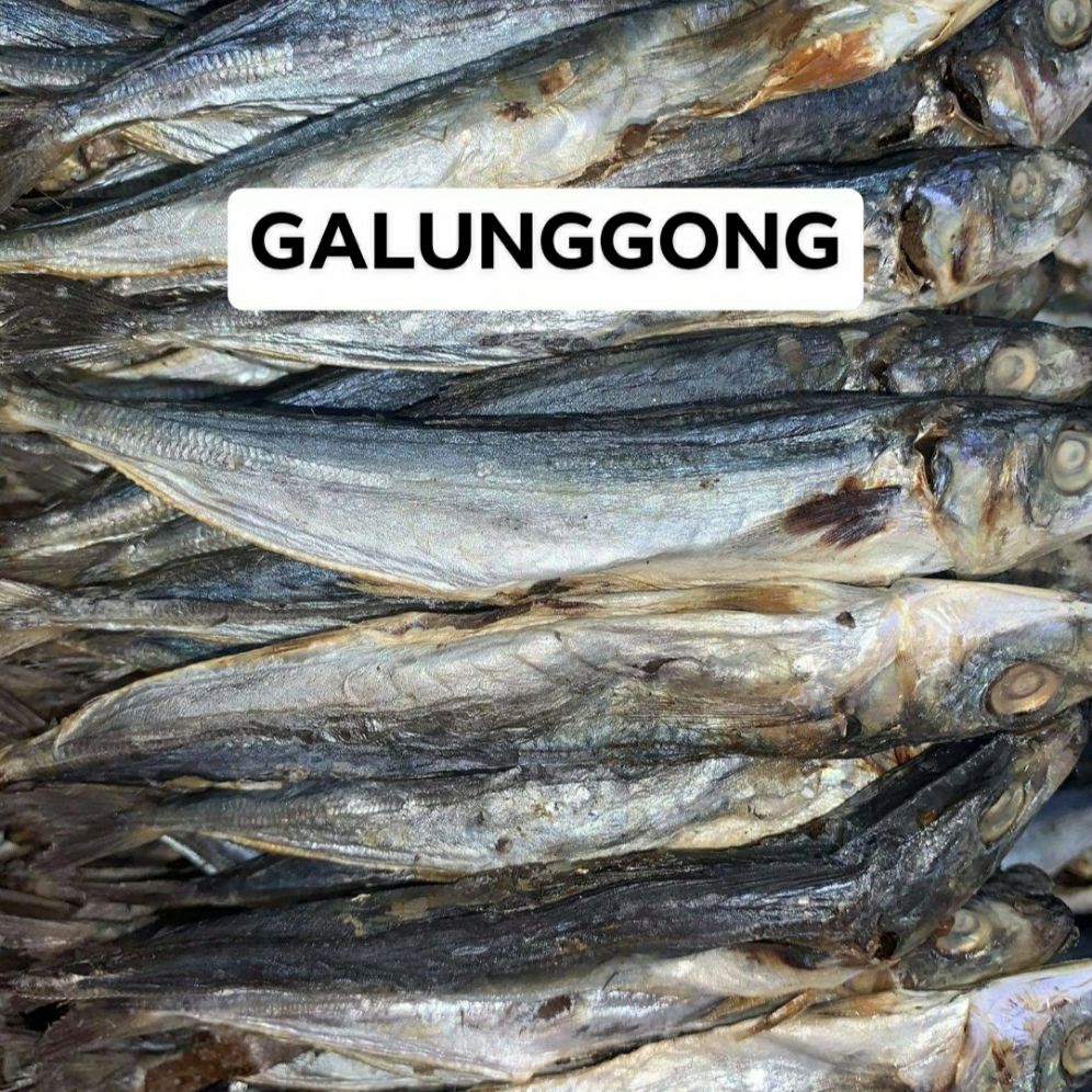 Pinoy Tradition Food Dried Galunggong Fish 12 Kilo Lazada Ph