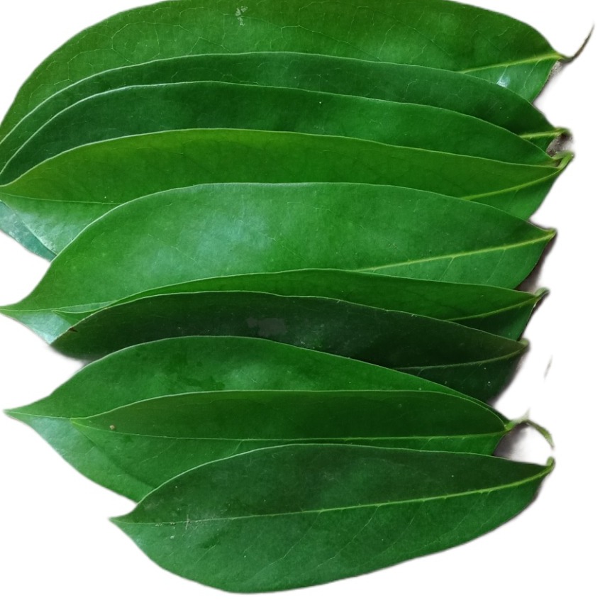LLC's Herbal medicine Fresh Leaves atis by 100g, Sugar apple leaves