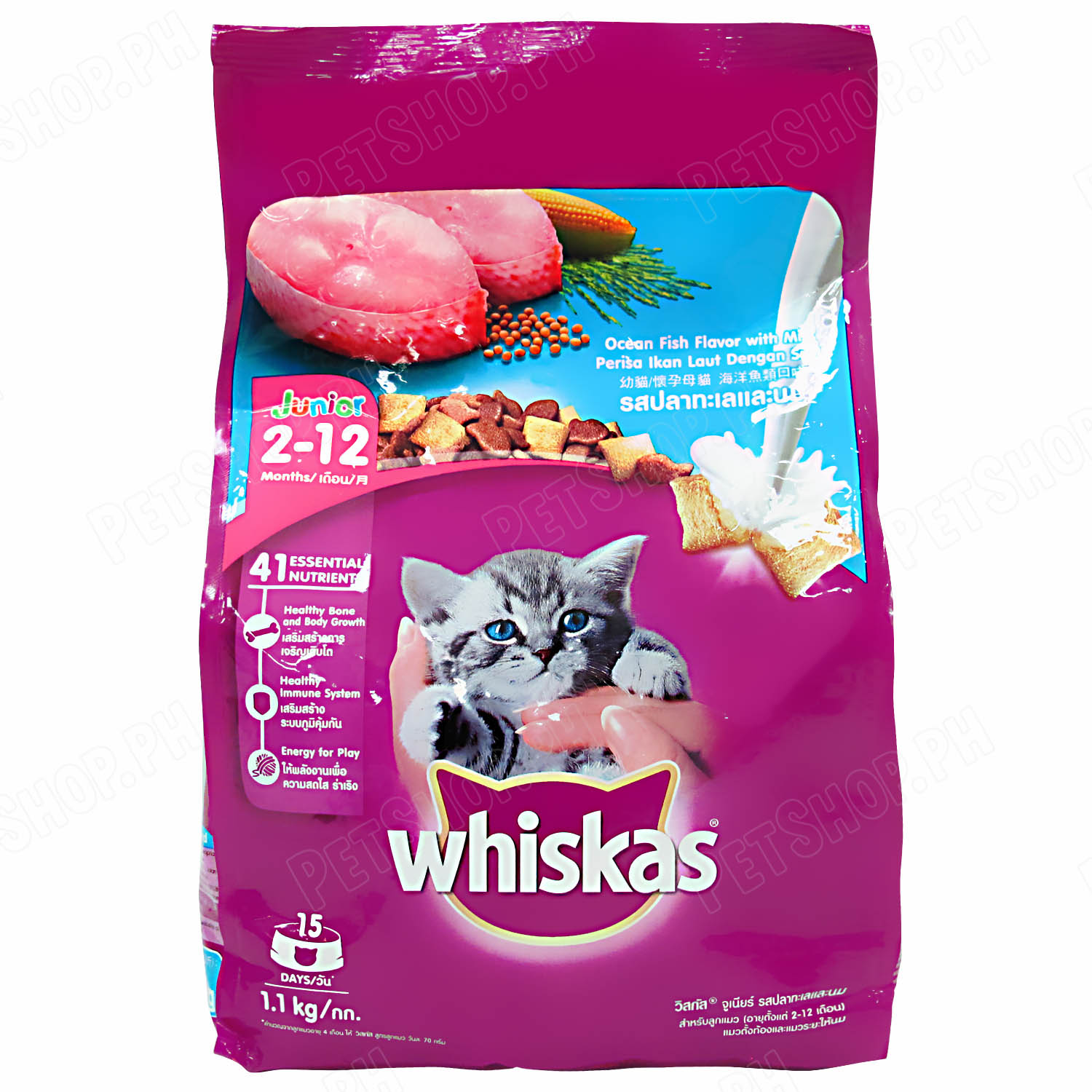 whiskas junior ocean fish