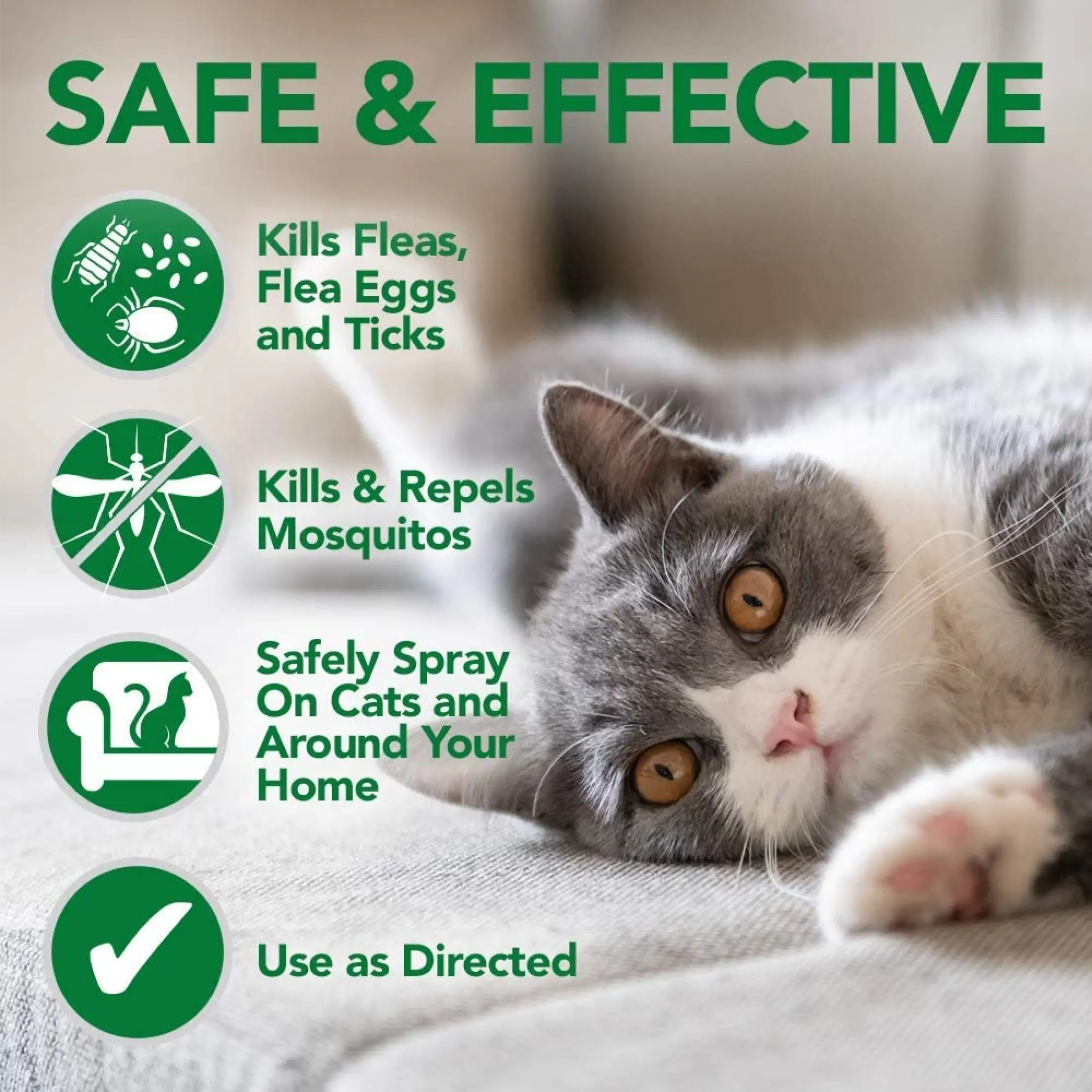 safe home flea treatment