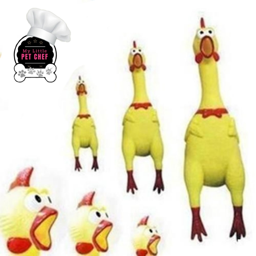 SQUEAKY RUBBER CHICKEN TOY: Buy sell 