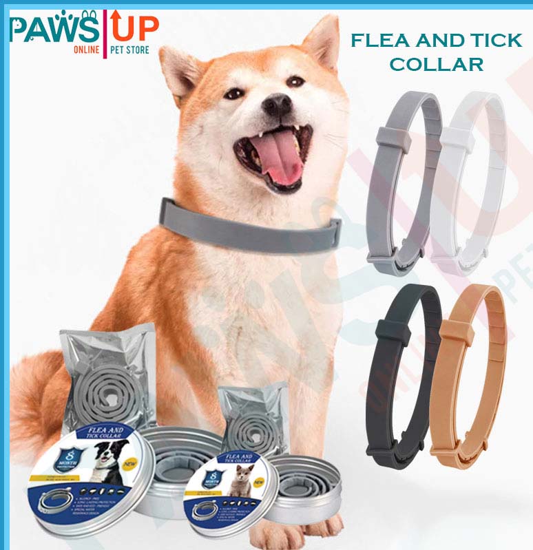 anti tick Pet Leash necklace, Tali sa aso at pusa, anti kuto at garapata,  collar with bell, Pet Harness, Pet Supplies, Pet Accessories, Leashes,  Collars & muzzle, Collars, safety strap, reflective vest,
