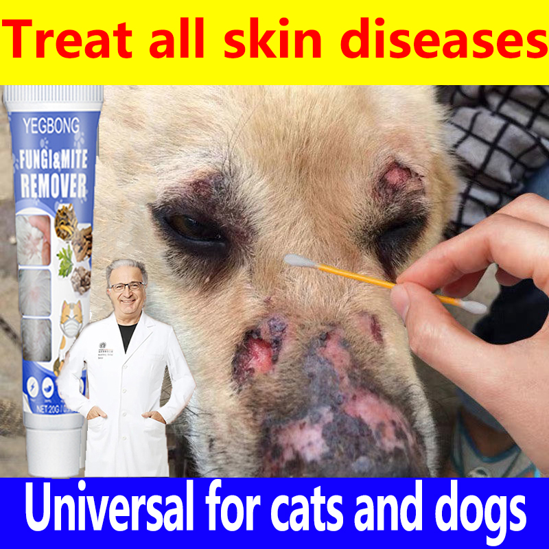 👍Doctor 👍pet skin treatment cream 20g mange treatment for dogs dog medicine for skin