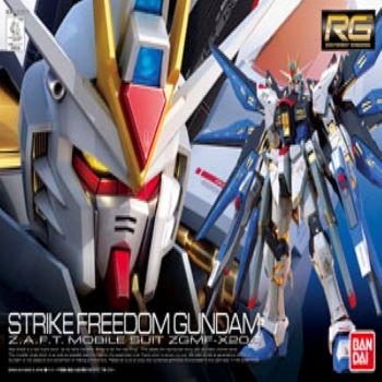 RG 1/144 strike freedom Gundam | Lazada PH