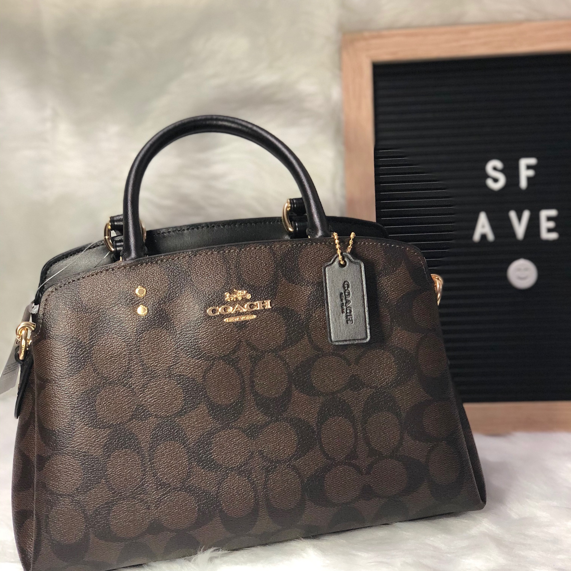 Coach Mini Lillie Carryall Review 2024 favors