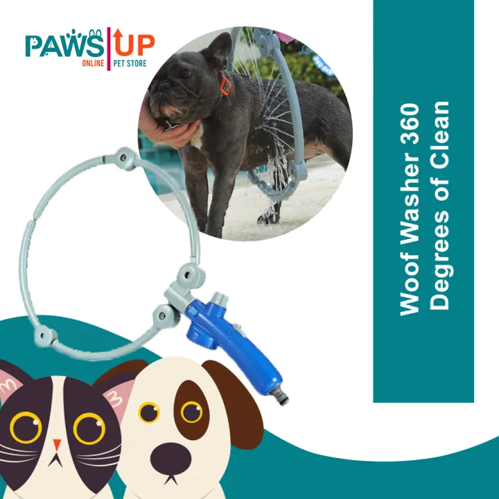 all paws dog grooming