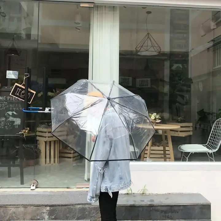 compact transparent umbrella