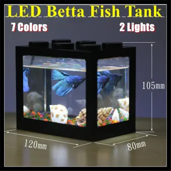 lazada betta fish