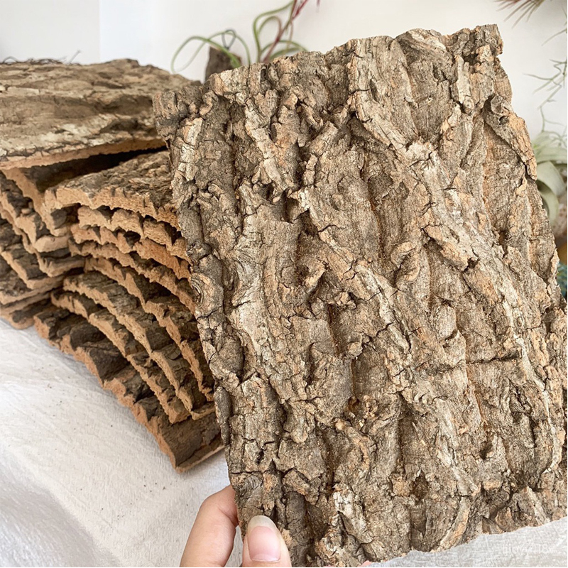 Natural Cork Bark Cork Terrarium Background Reptile Climbing Wall Terrarium Decor for Turtle