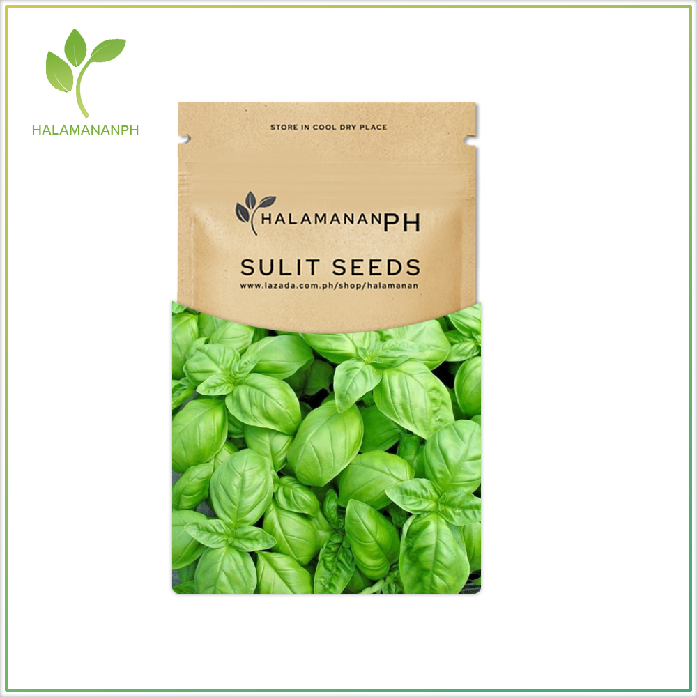 BASIL GENOVESE VEGETABLE SEEDS SULIT SEED PACK Halamanan PH