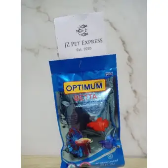 lazada betta fish
