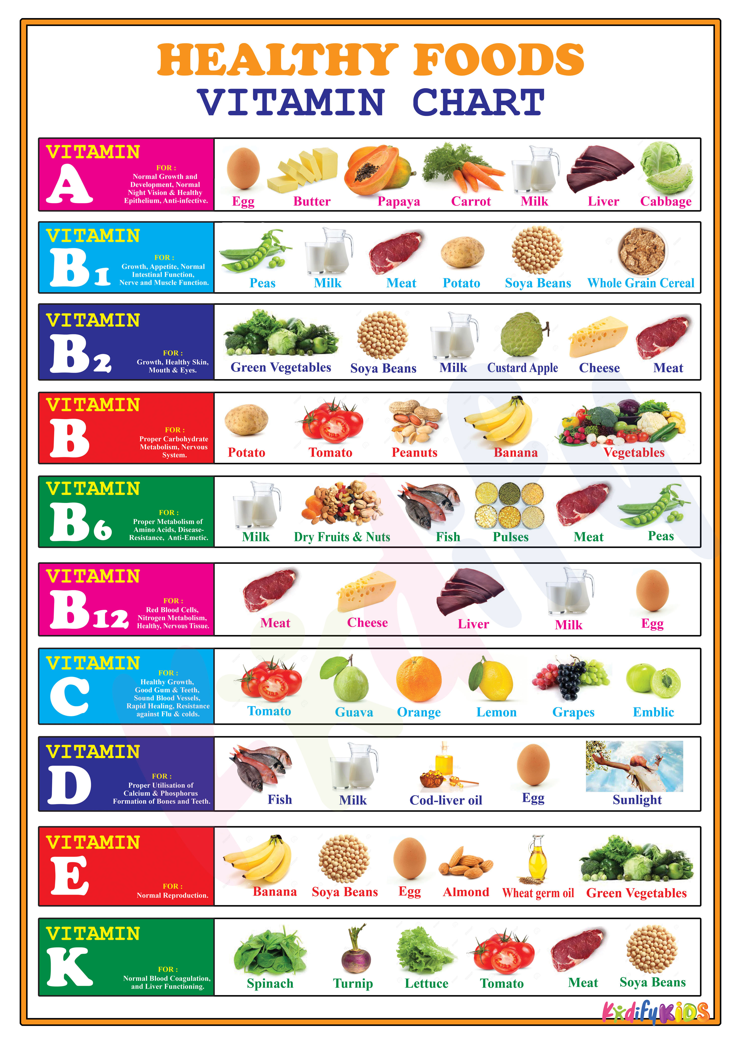 Educational Learning Materials and Charts For Kids - Laminated in A4 ...