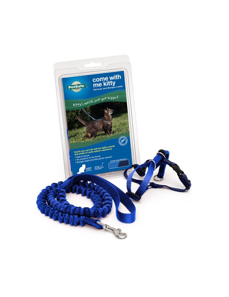 PETSAFE HARNESS BUNGEE LEASH ROYAL SMALL Lazada PH