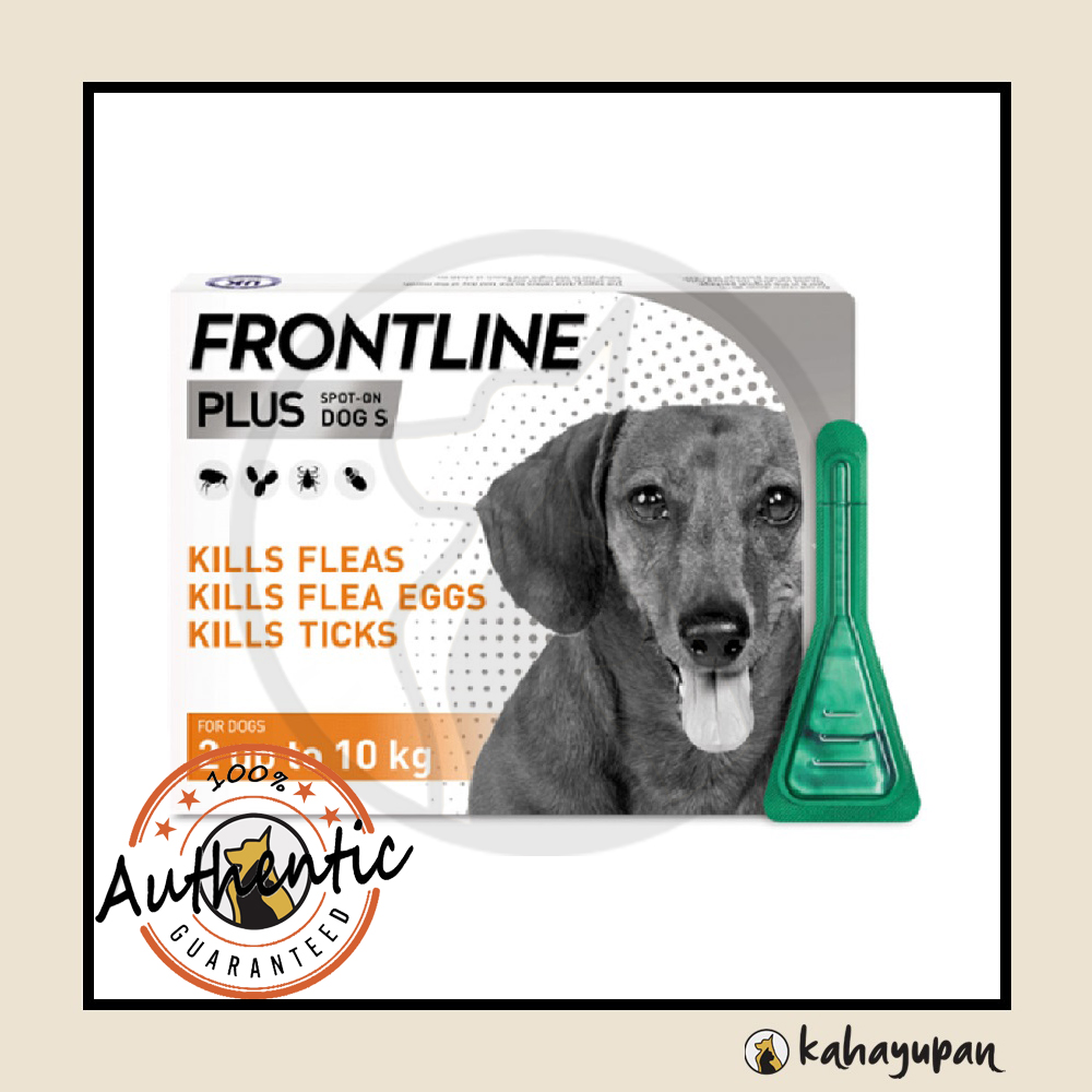 Frontline hot sale anti flea